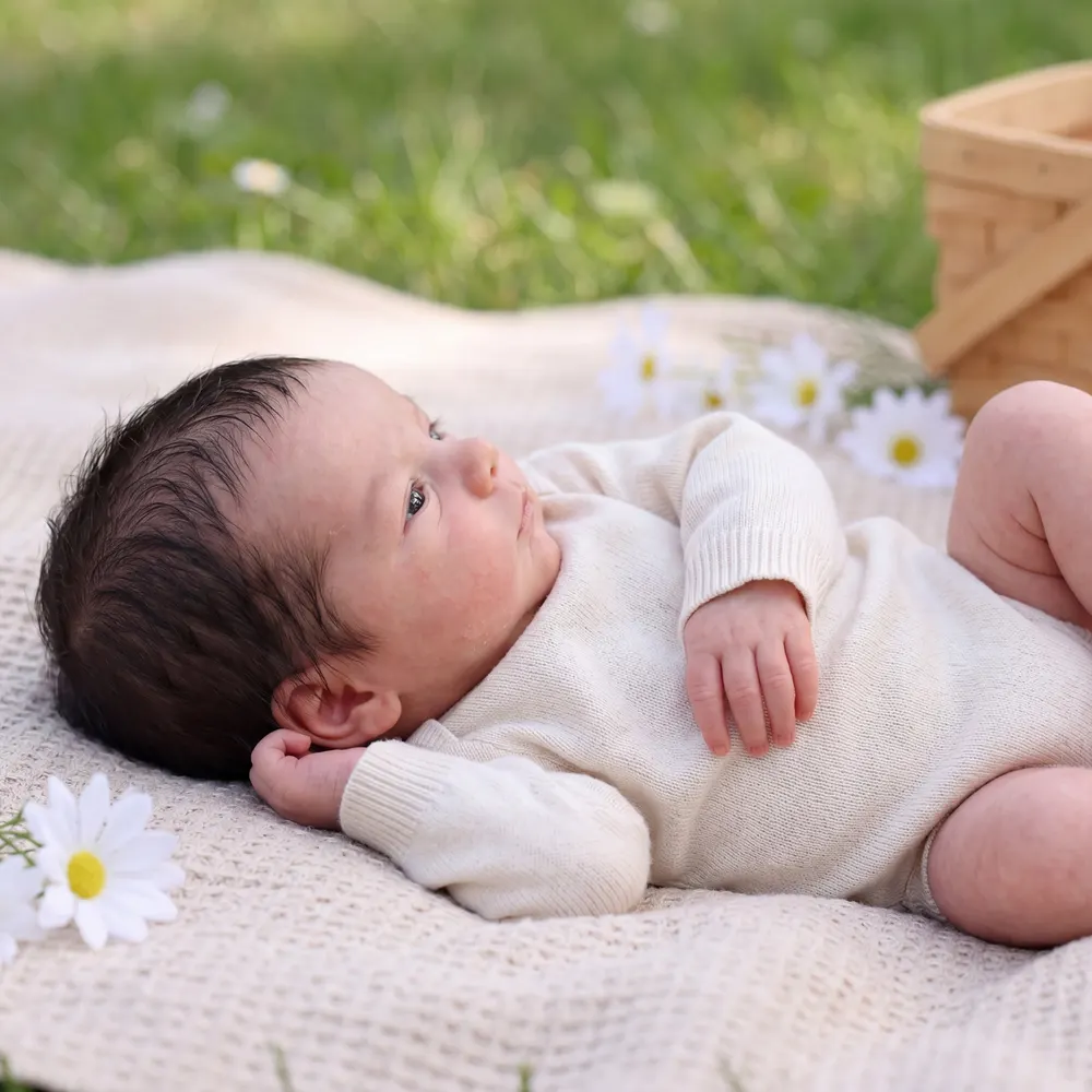 Full Body Silicone Reborn Baby Doll 12"/16" Lifelike Boy – Wynne, photograph 3